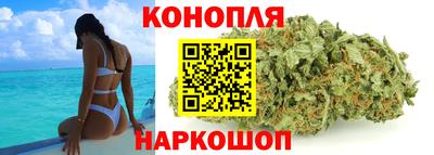трава Партизанск